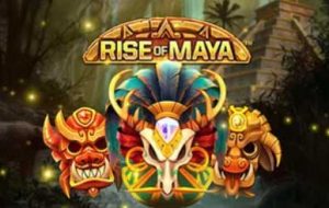 Rise of maya